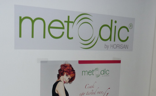 Miért sikertelen a fogyókúra?