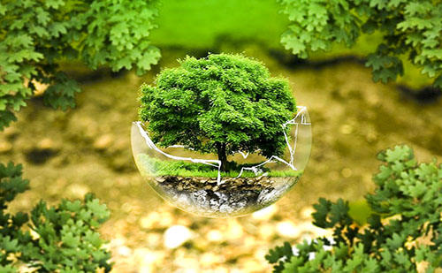 Az Oroszlányi Erőmű biomassza alapú erőműként indul újra 